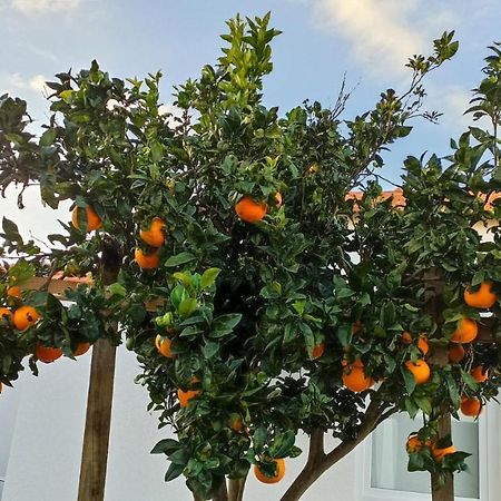 Perto Do Mar, Alojamento Local Gafanha da Boa Hora 外观 照片